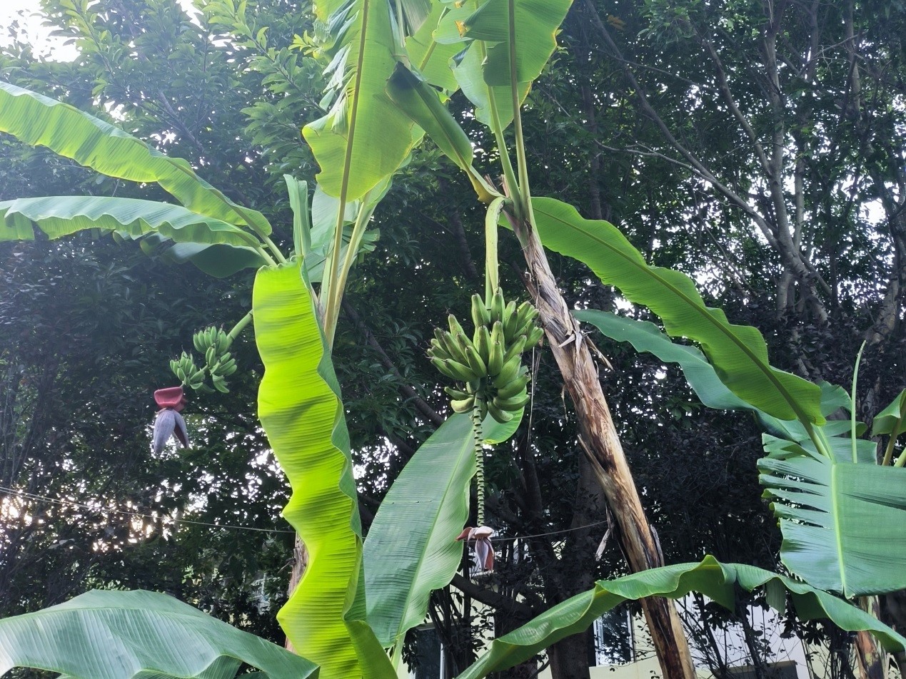 1722579657975034089.jpg 1722579657975034089.jpg